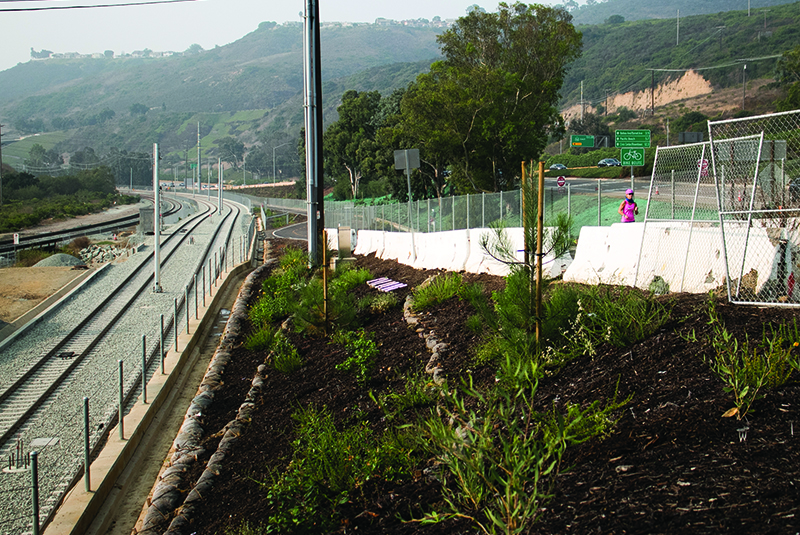 Landscaping near the Trolley tunnel at La Jolla Colony Drive and Rose Creek Bikeway. (September 2020)